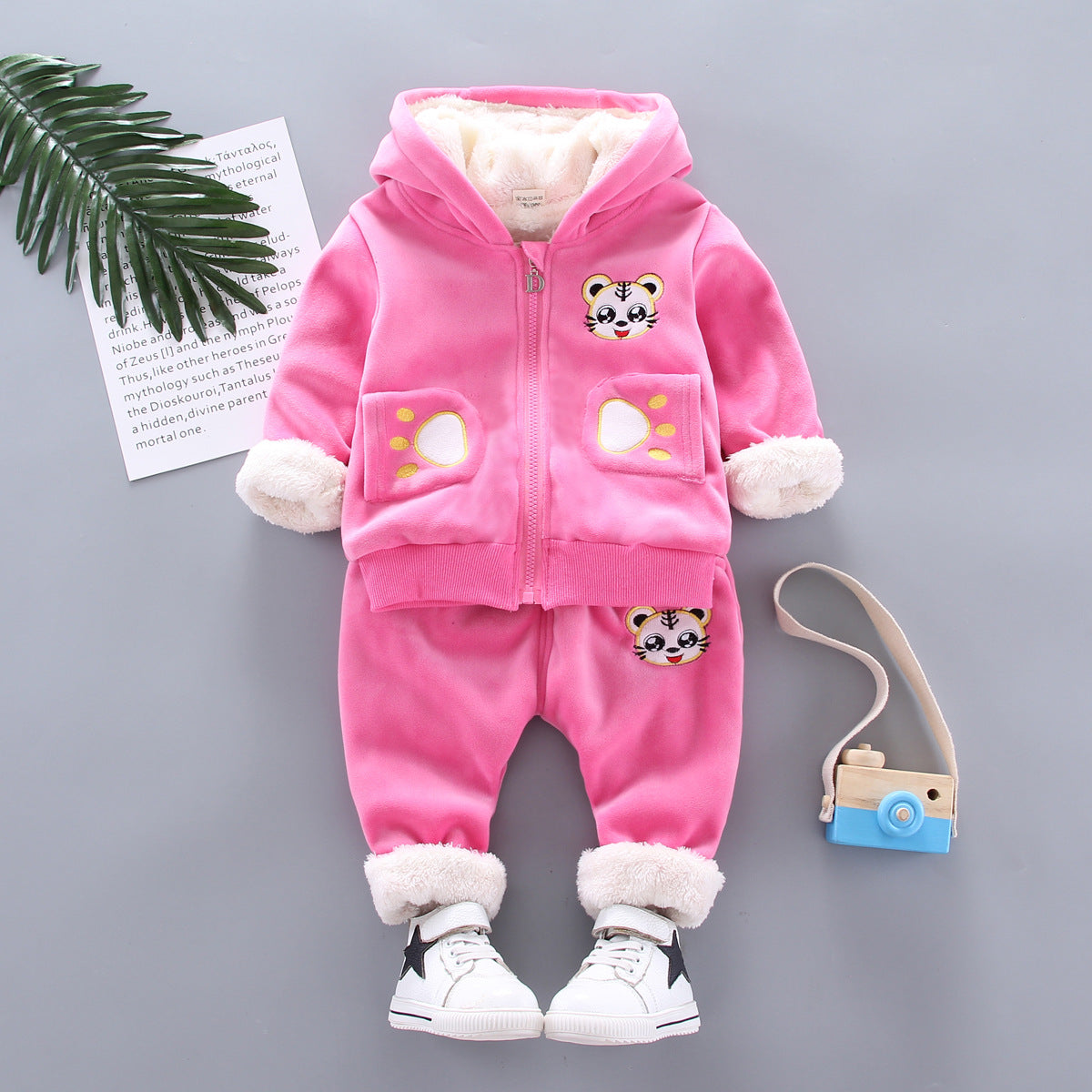 Warm Baby Girl Clothing Set: Winter Thick Plush Cotton Clothing Sets. Baby Girl Hoodie and Pants Children Suit, Kids Clothes