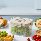 FreshNest Large Food Storage Box with Handle