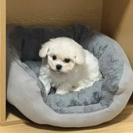Soft Warm Dog Bed Pet Sofa Cushion Cat House Basket Bed for Medium Large Dogs