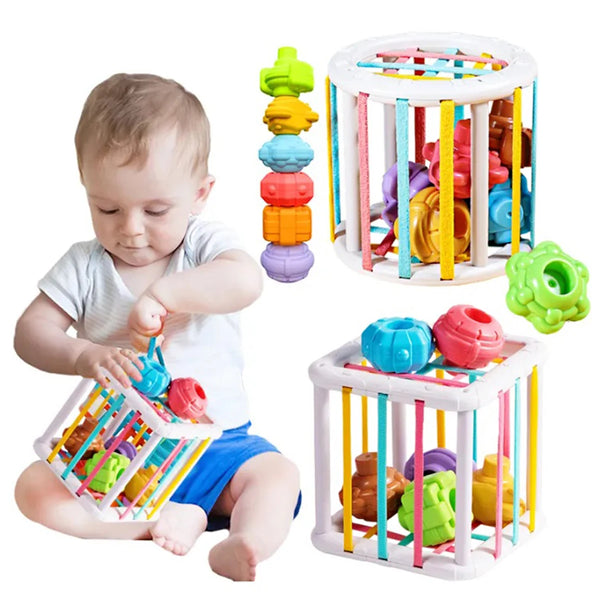 Montessori Baby Toys for 0-12 Months: Sensory Development and Learning with Colorful Blocks Sorting Game for Infants