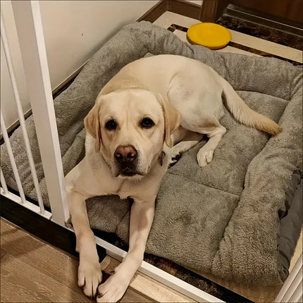 Extra Large Dog Bed Plush Soft Crate Mat Sofa Thickened Pet Sleeping Bed