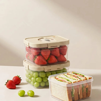 FreshNest Large Food Storage Box with Handle
