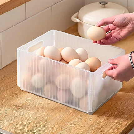 FoldFresh Refrigerator Storage Box with Handle