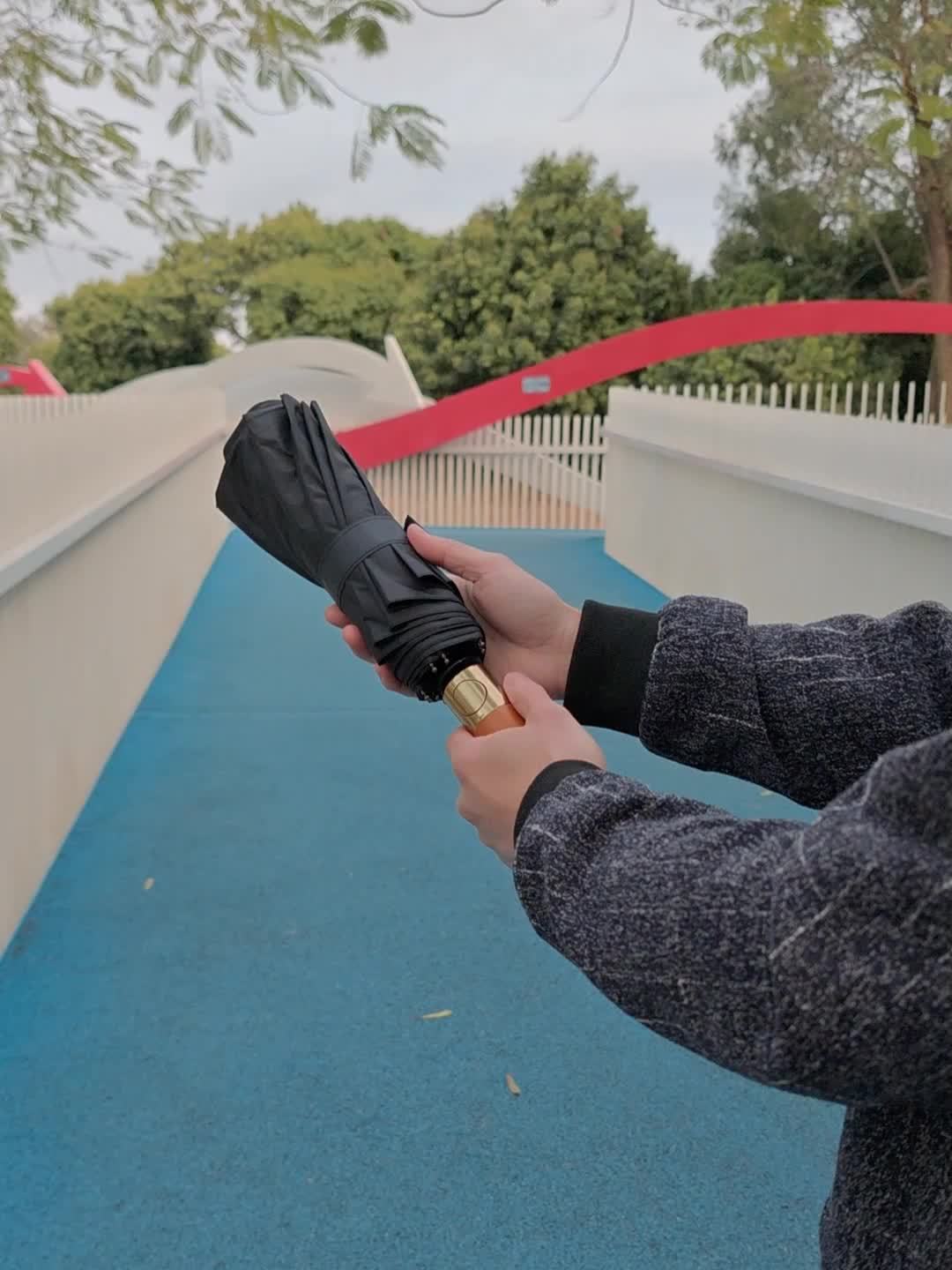 Business Premium Auto Open/Close 2-Person Umbrella – Large Windproof Double Fiberglass Frame, Wooden Handle, UPF 50+ Folding Travel Umbrella for Men & Women