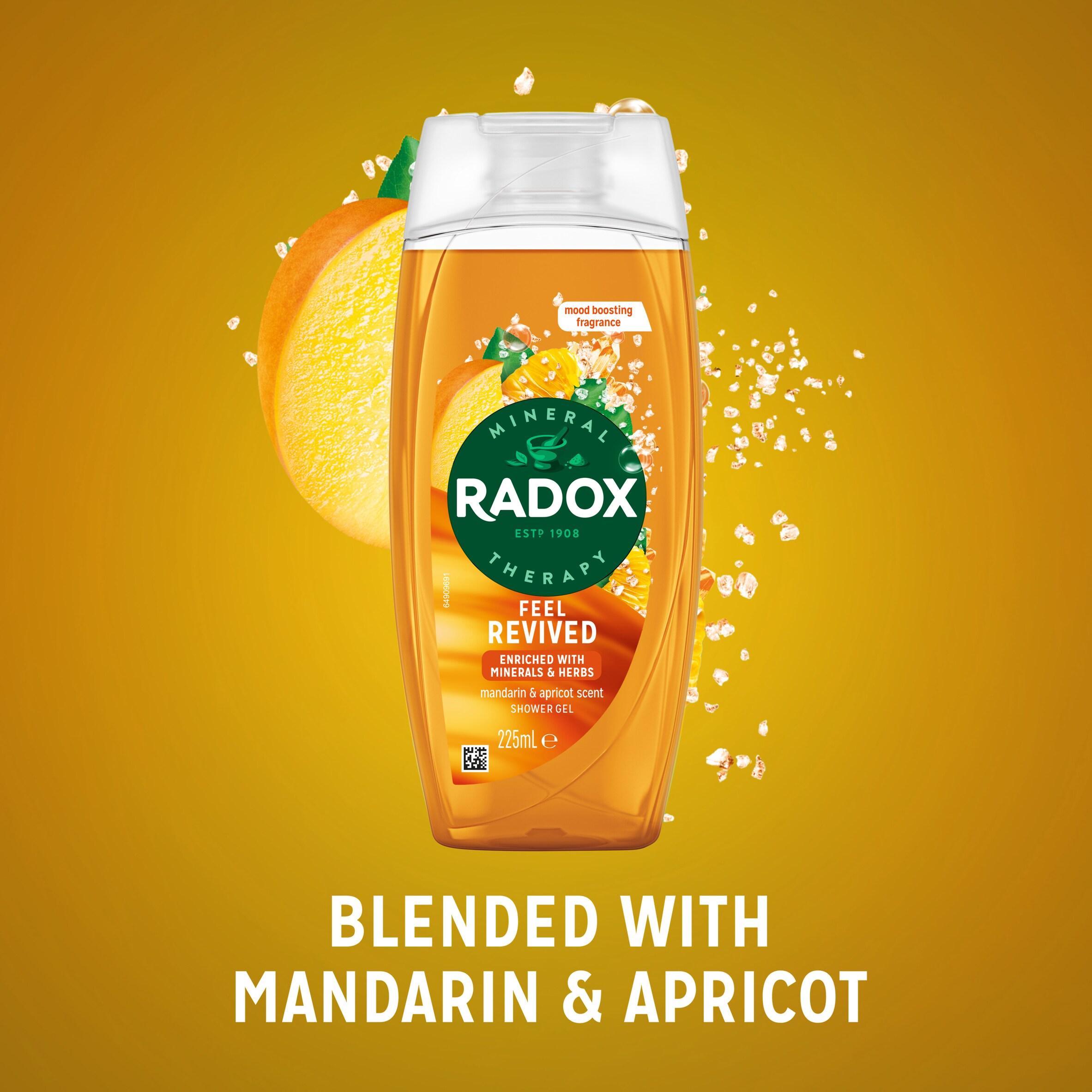 Radox Shower Gel 6 × 225 Ml – Random Fragrance Selection